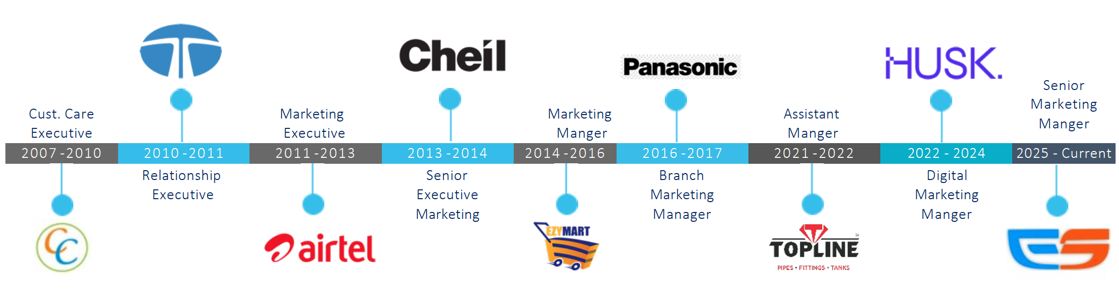 Professional Overview 2 Career timeline